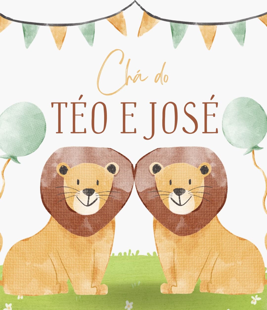 Teodoro e José banner